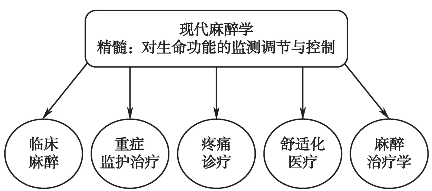 麻醉学的重要分支